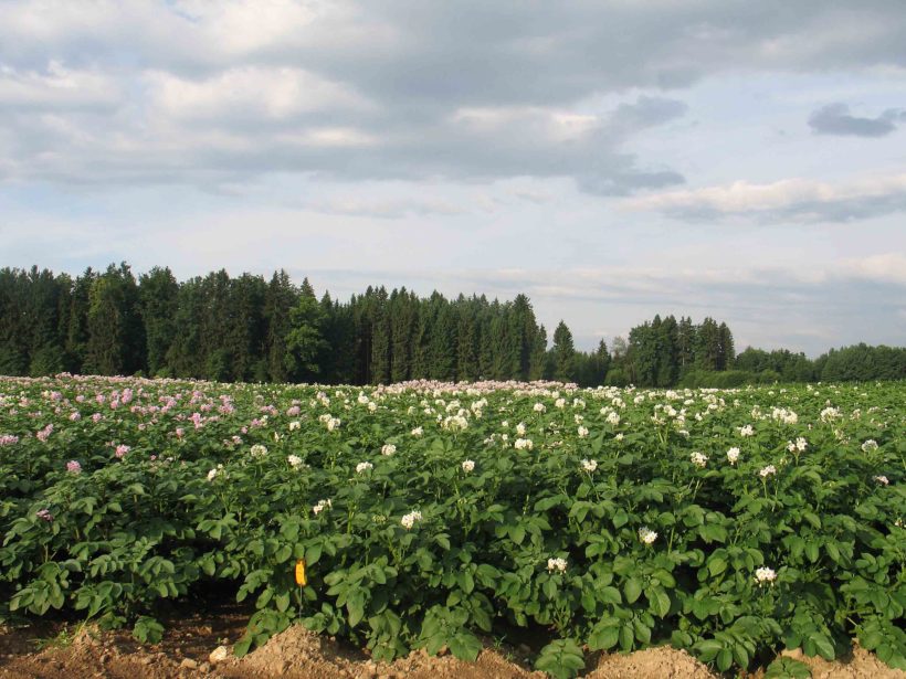 Usposabljanje za izvajanje presoj vplivov na okolje