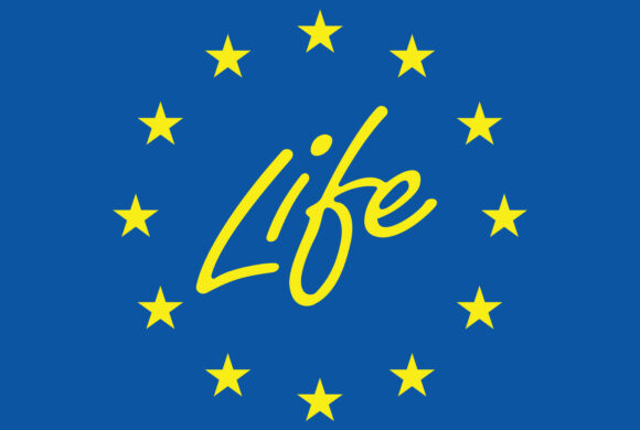 LIFE 2026: nova priložnost za projekte krožnega gospodarstva