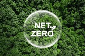 Predstavitev prvega poziva projekta PowerUp NetZero z do 20.000 evrov podpore za MSP in zagonska podjetja